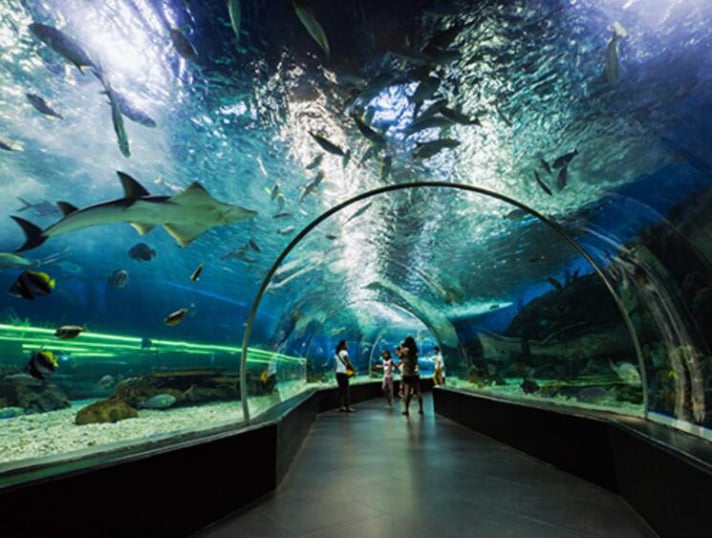Dubai Aquarium & Underwater Zoo